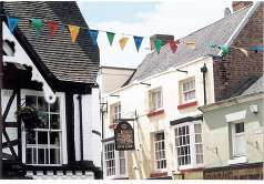 dun cow bunting